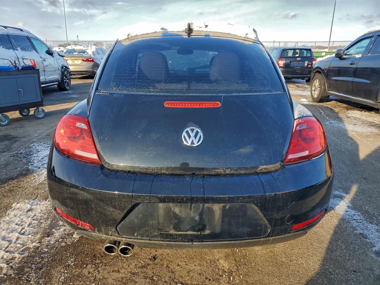 Volkswagen Beetle Image 7