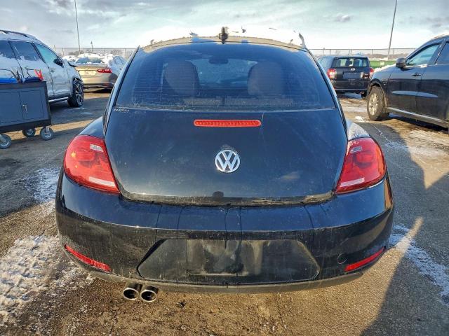 Volkswagen Beetle Image 7