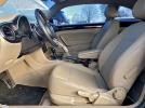 Volkswagen Beetle Image 4