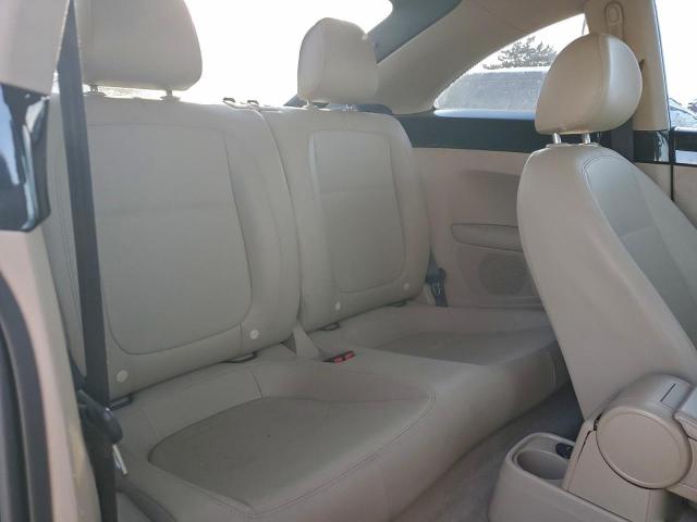 Volkswagen Beetle Image 6