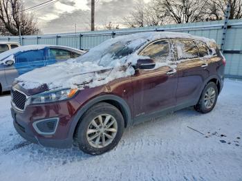  Salvage Kia Sorento