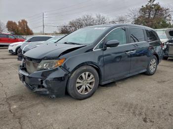  Salvage Honda Odyssey