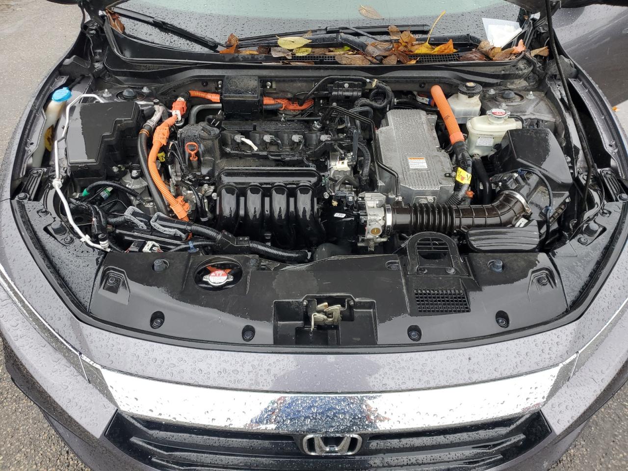 Honda Insight Ex Image 10