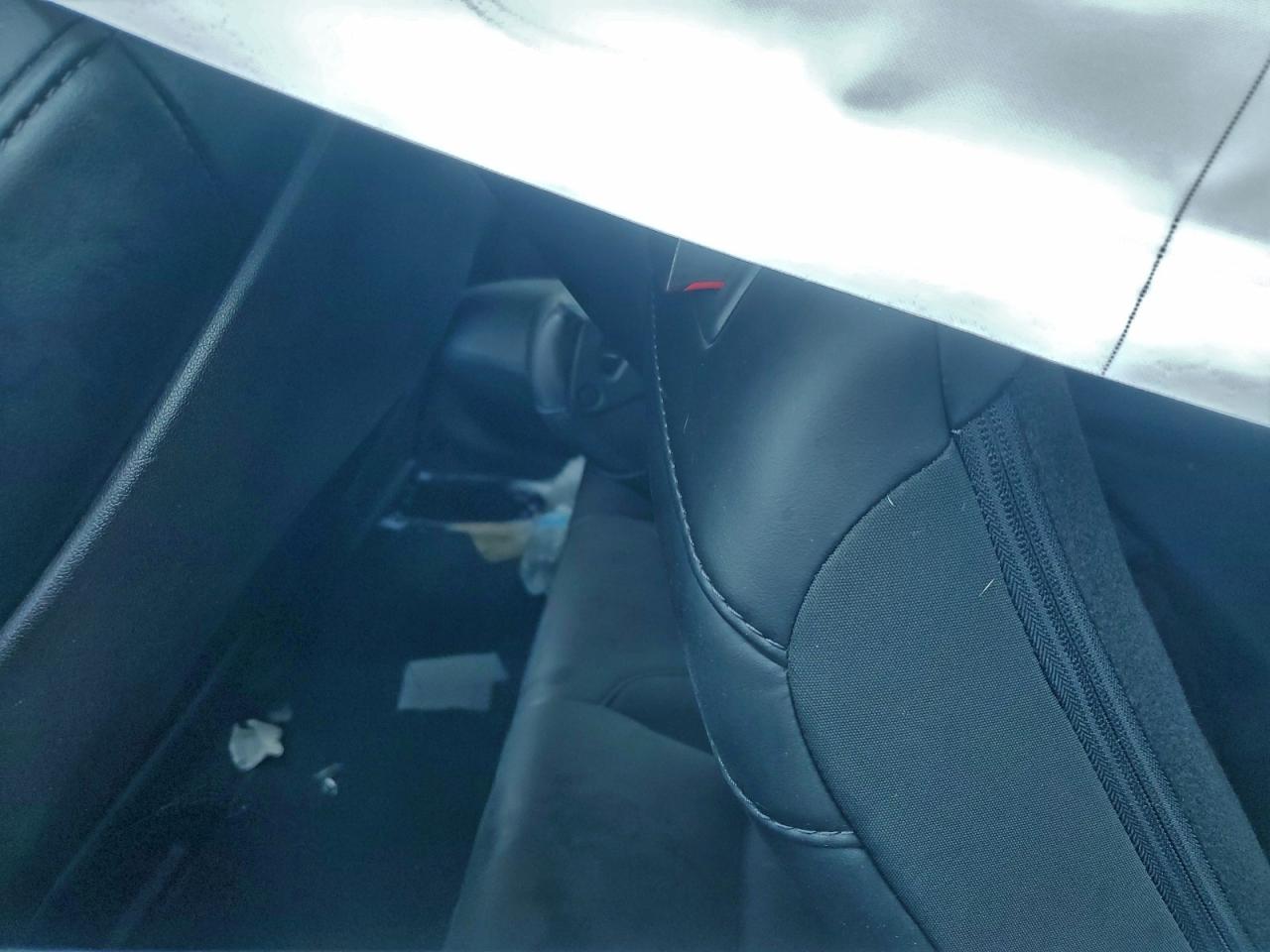 Tesla Model 3 Image 6