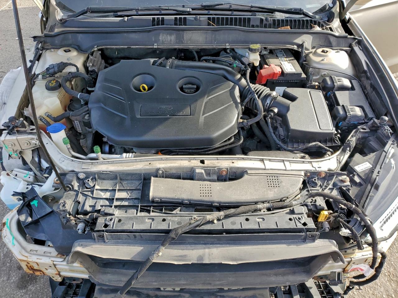 Ford Fusion Se Image 11