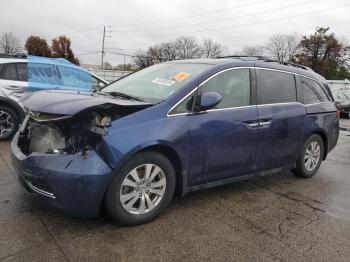 Salvage Honda Odyssey