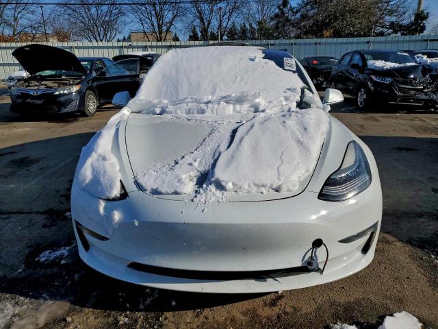 Tesla Model 3 Image 6