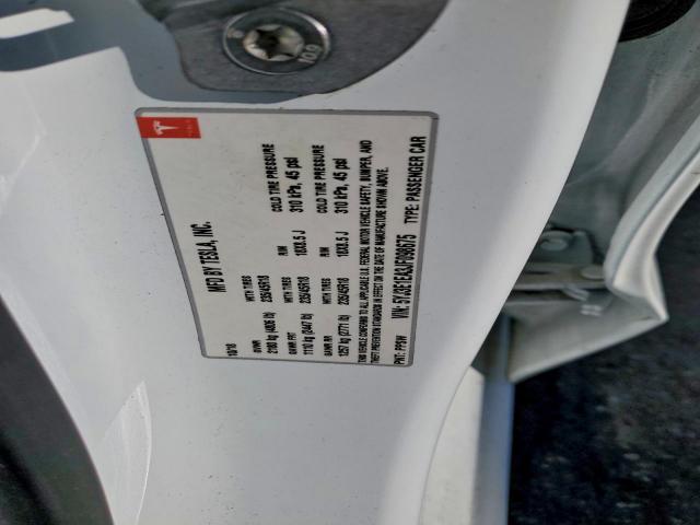 Tesla Model 3 Image 9