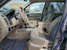 Ford Escape Xlt Image 6