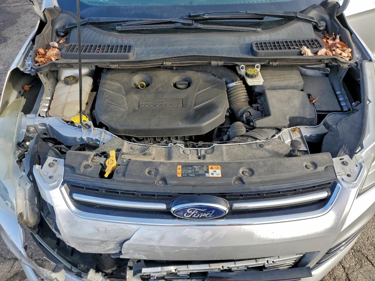 Ford Escape Titanium Image 6