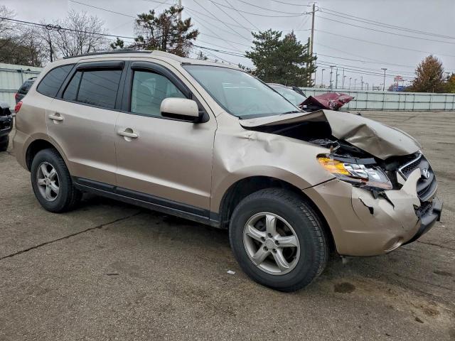Hyundai SANTA FE Gls Image 3