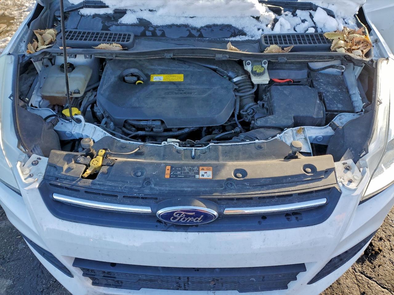 Ford Escape Se Image 10